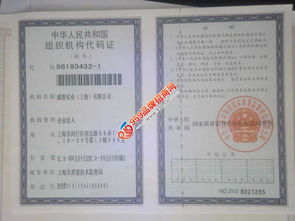 威想24小時(shí)自助洗車機(jī) 便捷高效的汽車服務(wù)新選擇