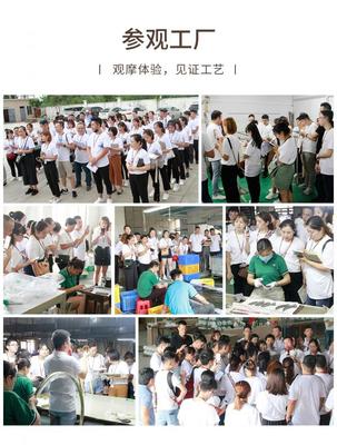 蛻變季 米蘇燈飾M6+超級(jí)盈利系統(tǒng)第六期特訓(xùn)營(yíng)順利閉營(yíng)，文化經(jīng)紀(jì)人服務(wù)賦能行業(yè)新生態(tài)