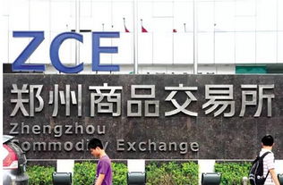 投資者必知 全國性交易所僅8家，警惕上海信息咨詢服務類陷阱